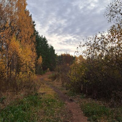 17_good_autumn_day.png